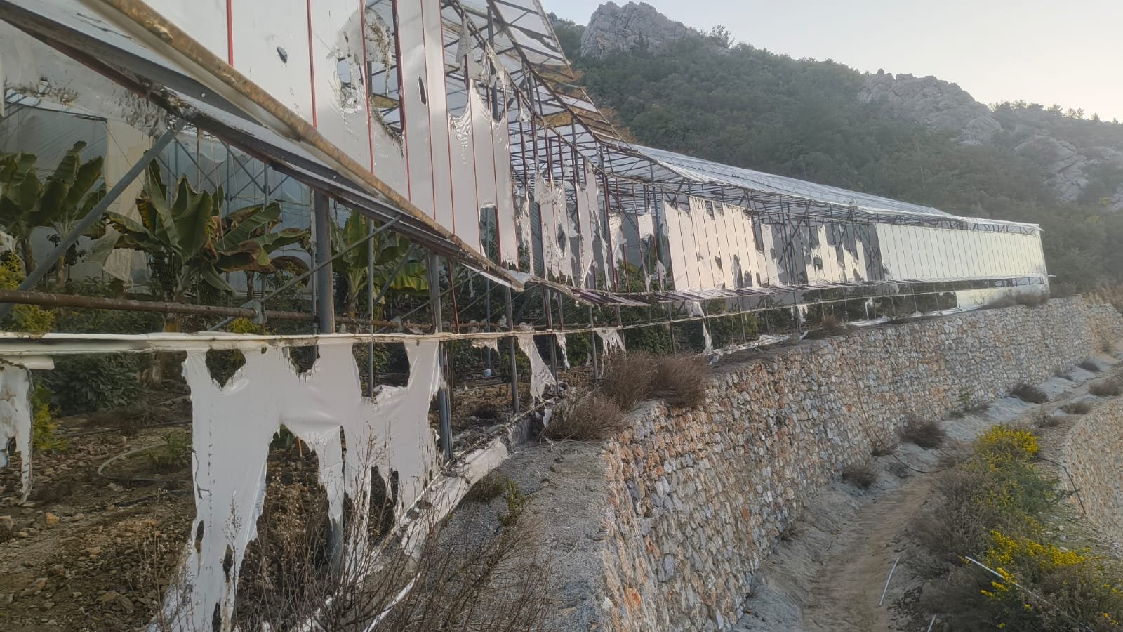 Alanya'da kundaklama iddiasıyla yakalanan 3 zanlı tutuklandı