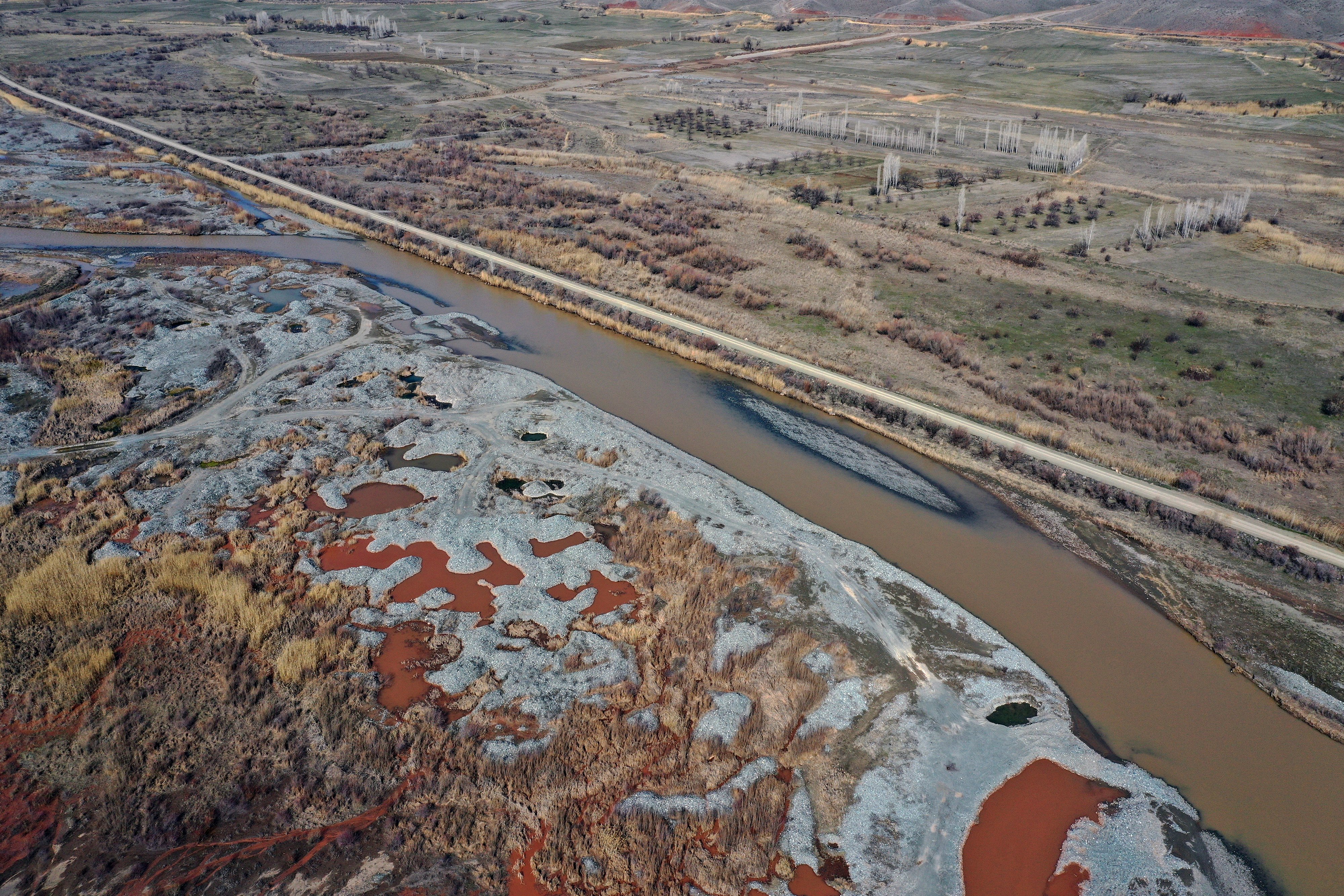 Aras Kuş Cenneti'nde halkalanan kuş türü sayısı 207'ye yükseldi