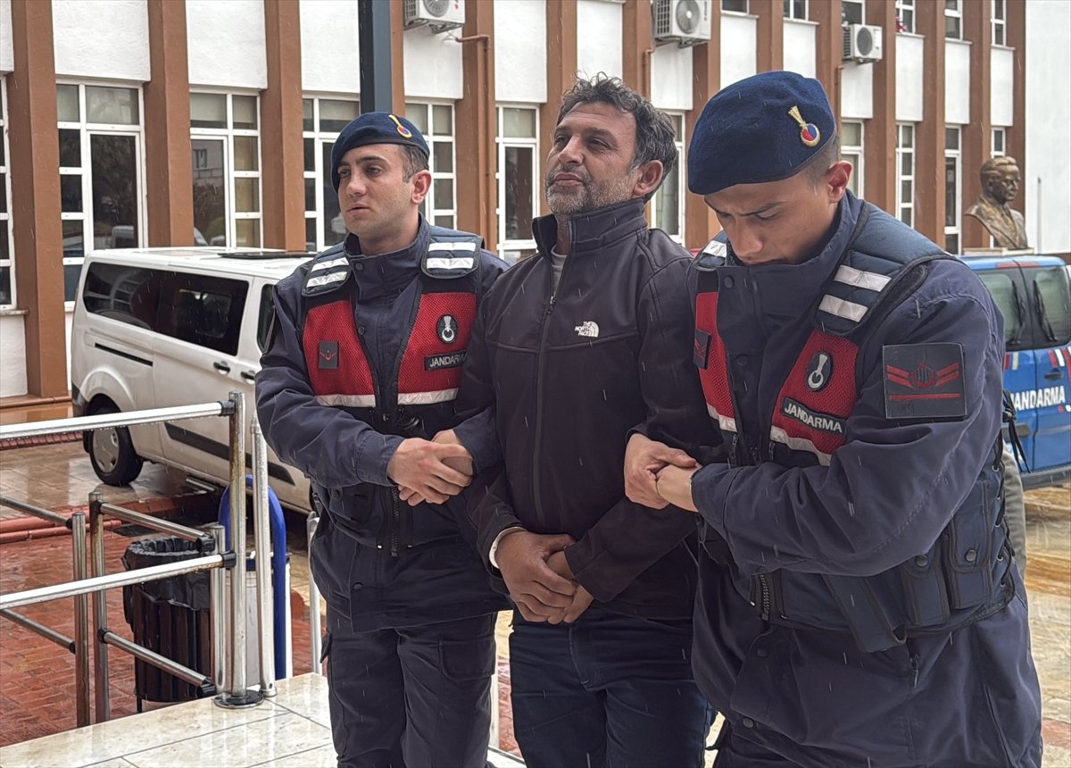 Aydın'da zeytin ve incir ağaçlarını tahrip ettiği belirlenen şüpheli yakalandı