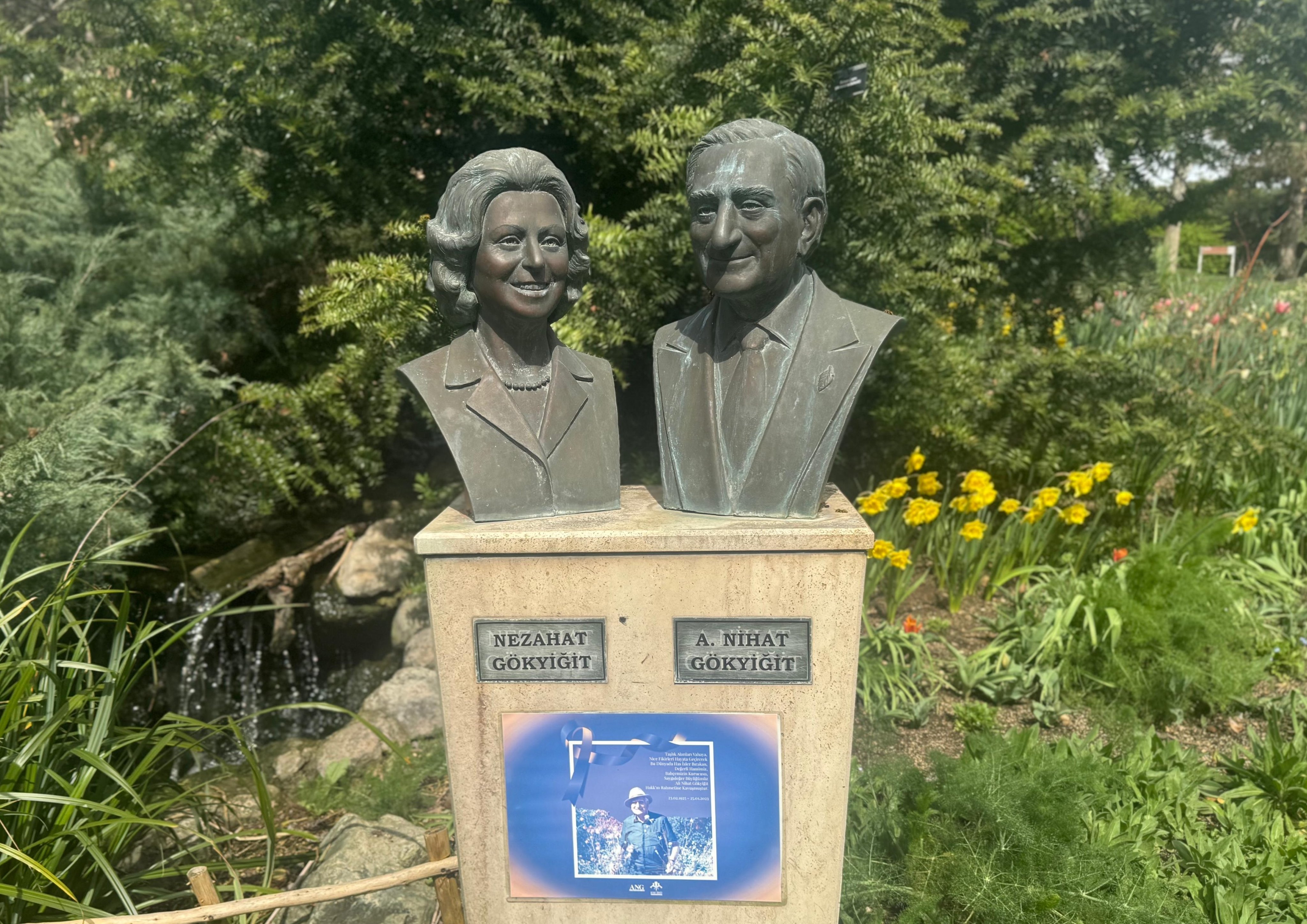 Baharın müjdecisi sakuraların çiçek açışı, Nezahat Gökyiğit Botanik Bahçesi'nde kutlandı