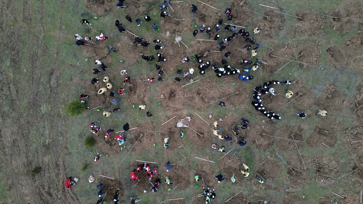 Bilecik'te Şeyh Edebali Hatıra Ormanı oluşturuldu