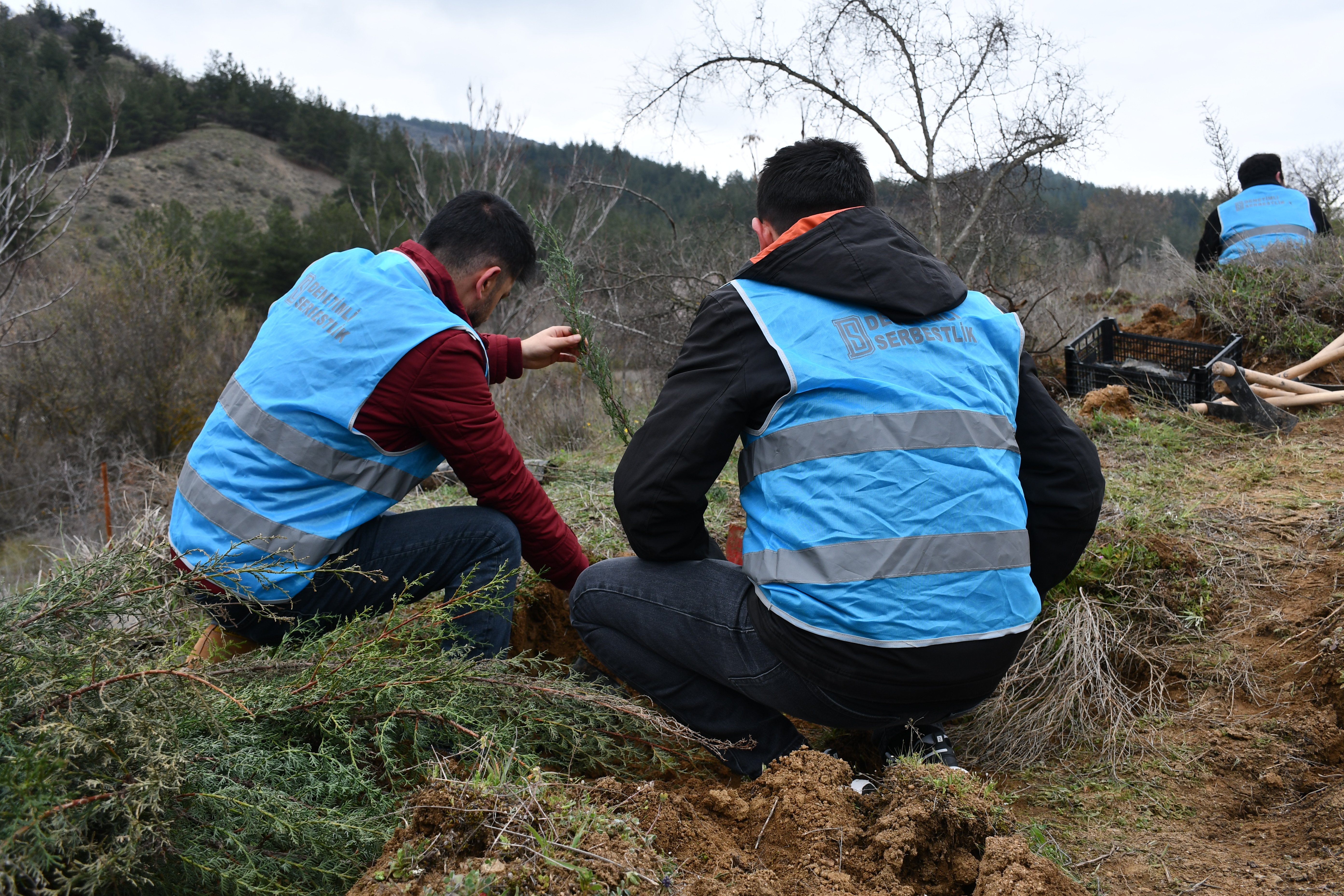 Bilecik'te yükümlüler 700 fidanı toprakla buluşturdu