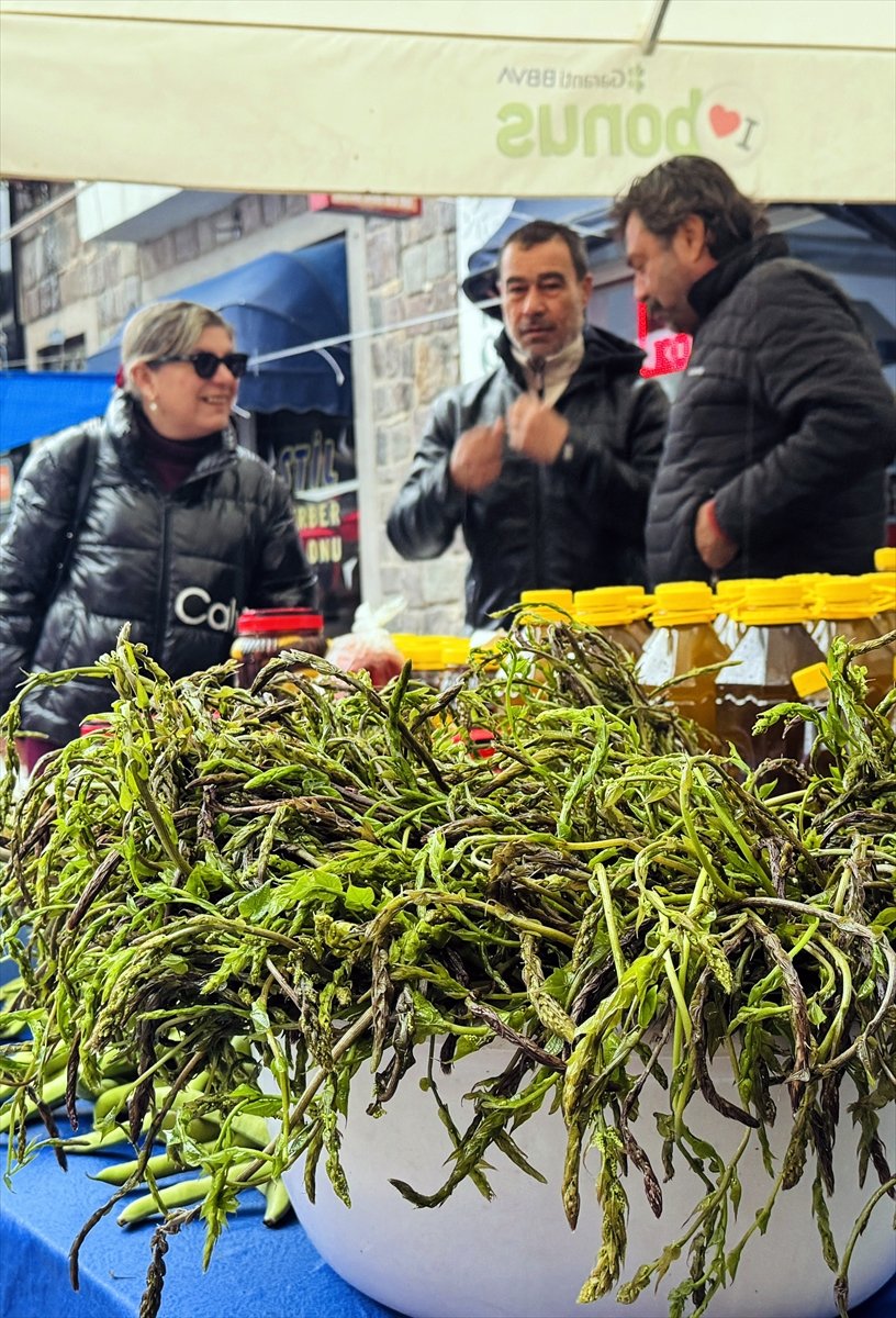 Bodrum'da 7. Acı Ot Festivali başladı