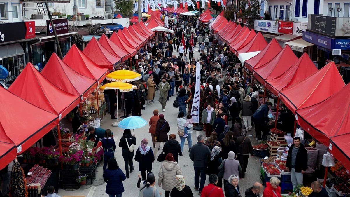Bodrum'da 7. Acı Ot Festivali binlerce kişiyi ağırladı