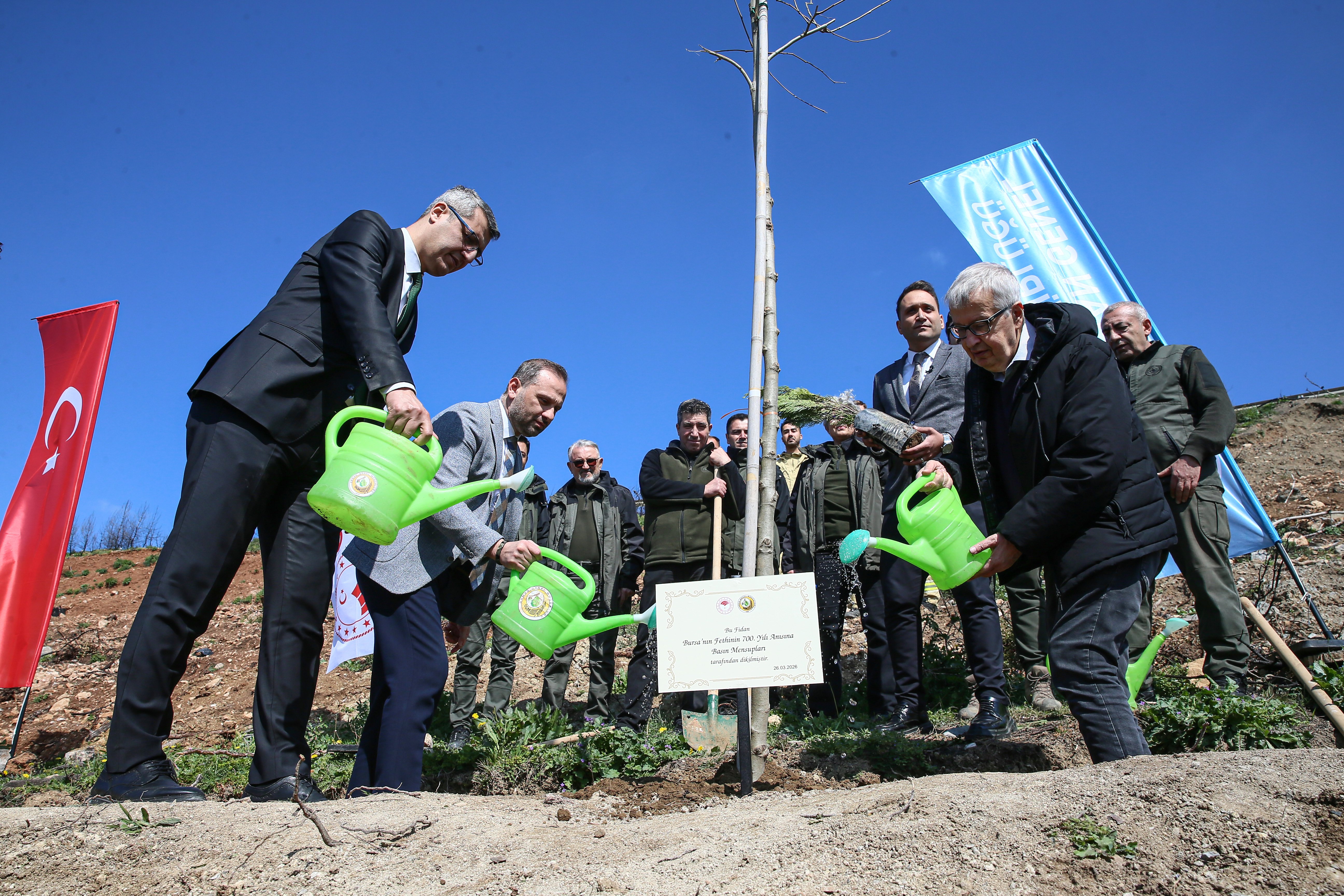 Bursa'da basın mensupları yanan ormanlık alana fidan dikti