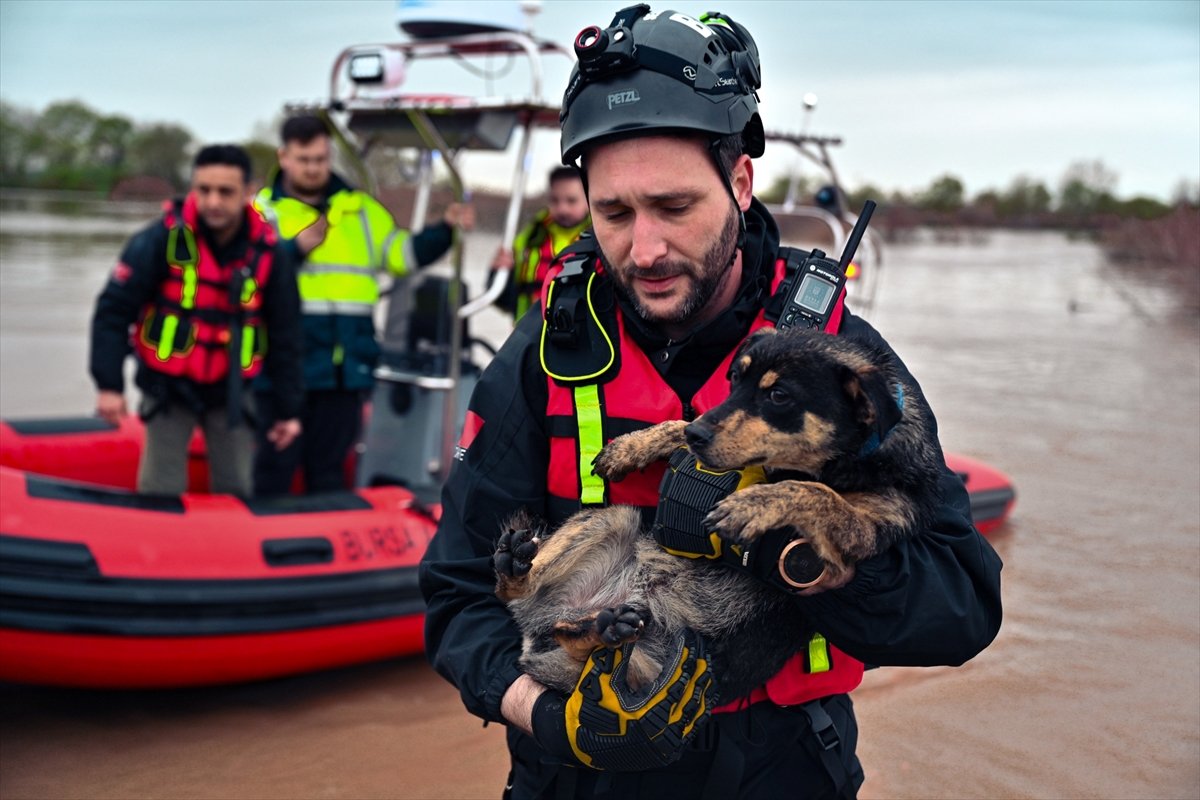 Bursa'da taşkın sırasında bağ evinde mahsur kalan köpekler kurtarıldı