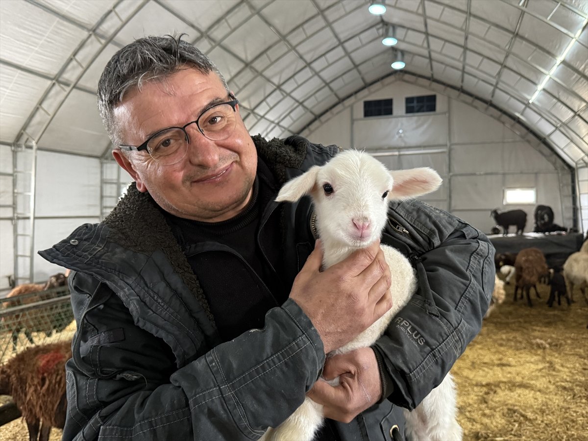 Çadır ağıl desteğiyle büyüttüğü işinde küçükbaş hayvan sayısını artırdı