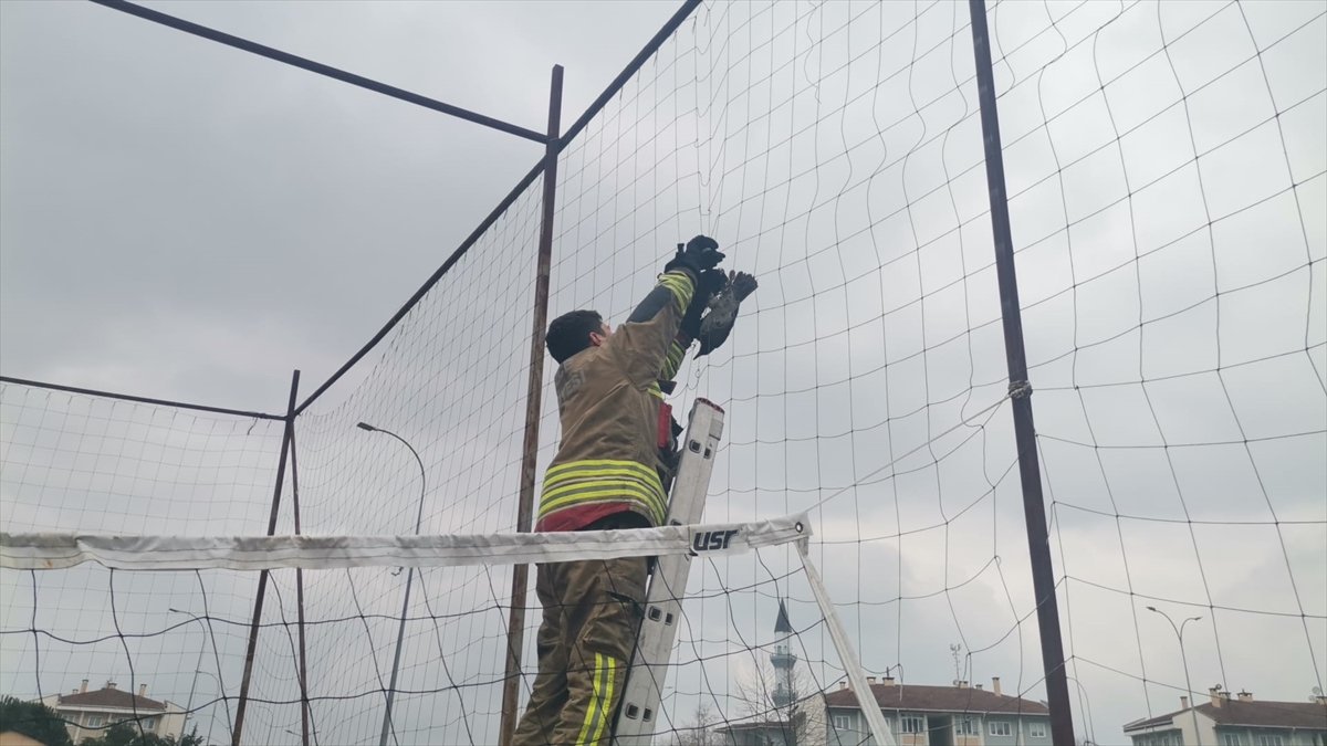 Düzce'de basket sahasında fileye dolanan kargayı itfaiye kurtardı