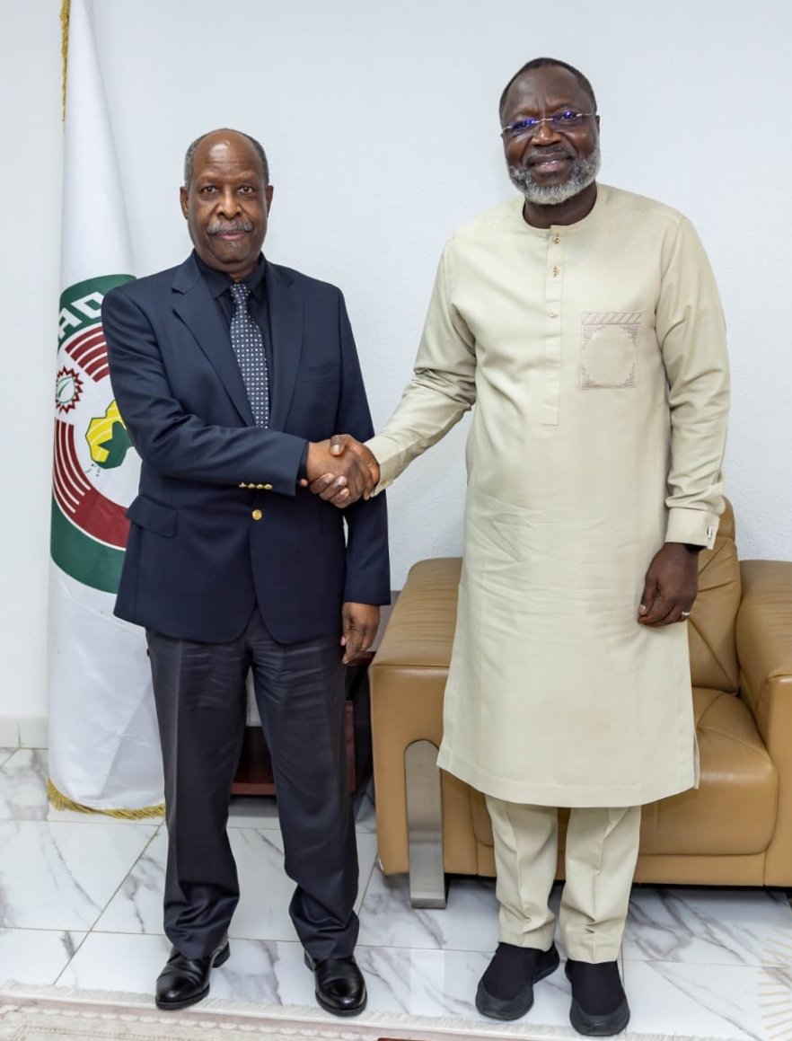 ECOWAS ve UNOWAS'tan Batı Afrika'nın siyasi ve güvenlik gündemine ilişkin yakın koordinasyon