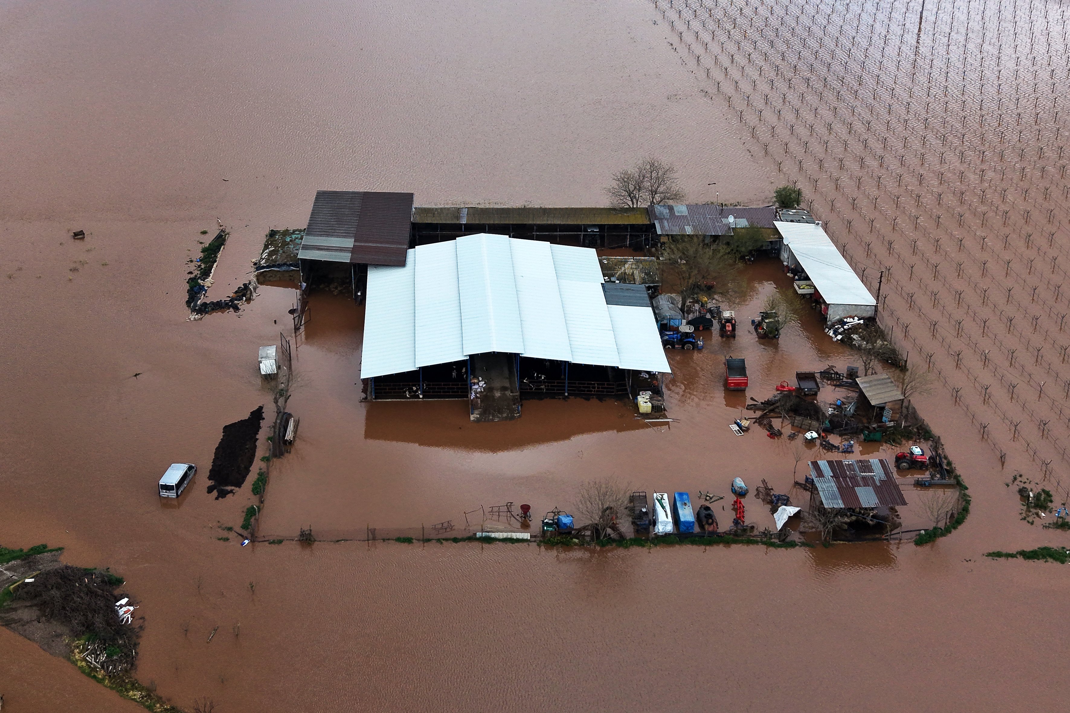 Gediz Nehri taştı, Manisa'da tarım arazileri su altında kaldı