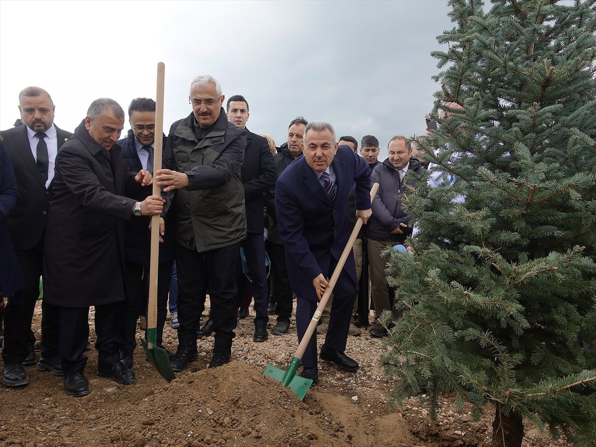 İzmir'de 100 bin fidan toprakla buluşturuldu