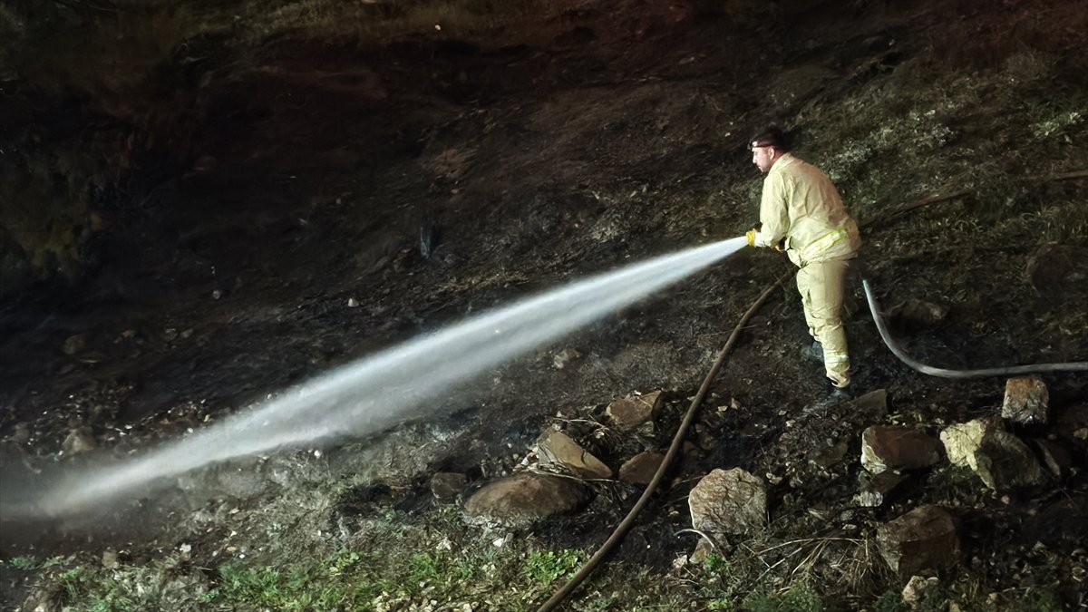Karabük'te ormanda çıkan örtü yangınında 1 dekarlık alan zarar gördü