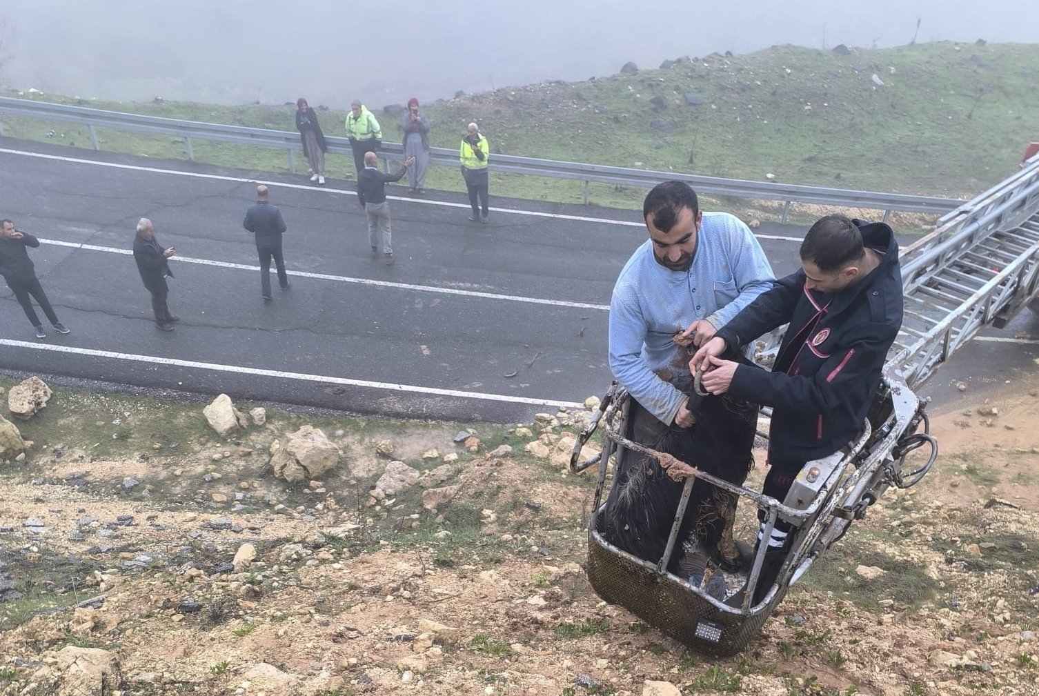 Mardin'de çamura saplanan 2 keçiyi itfaiye kurtardı