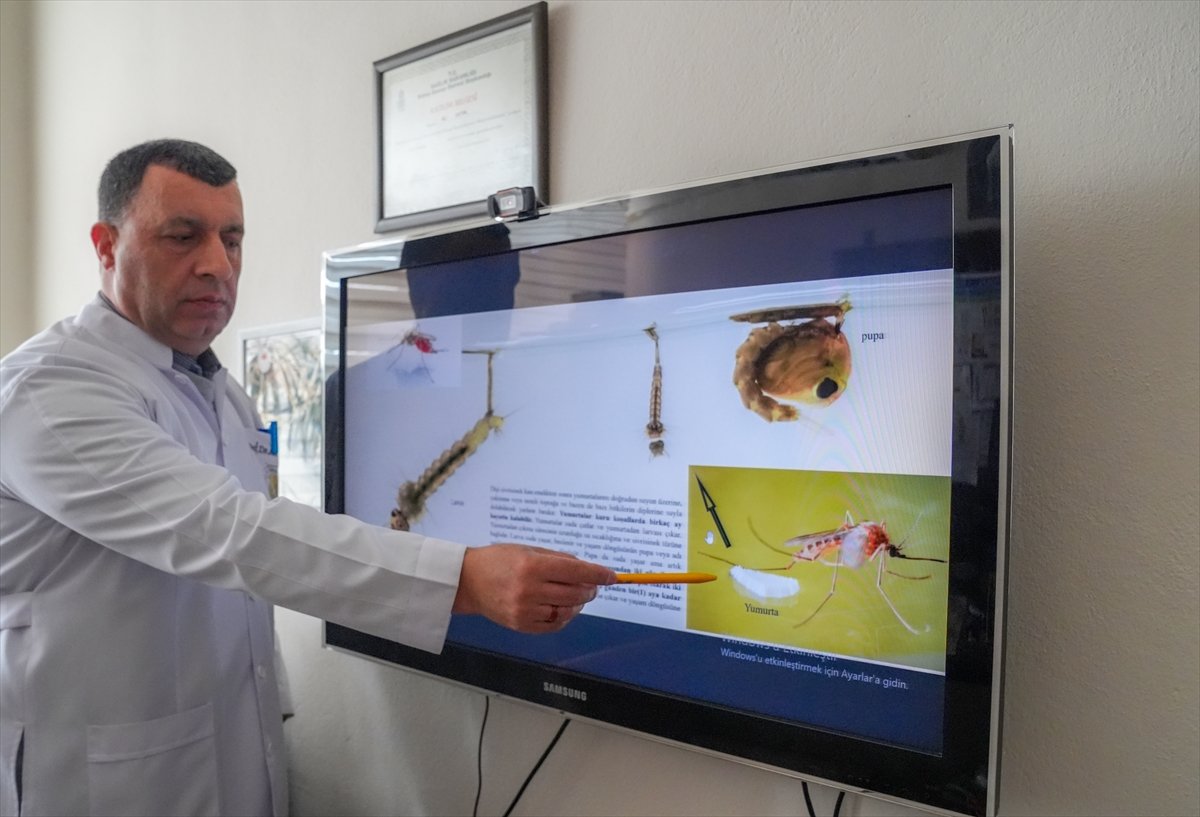 'Mevsimsel yağışlarla artacak sivrisineklere karşı erken mücadele başlatılsın' uyarısı