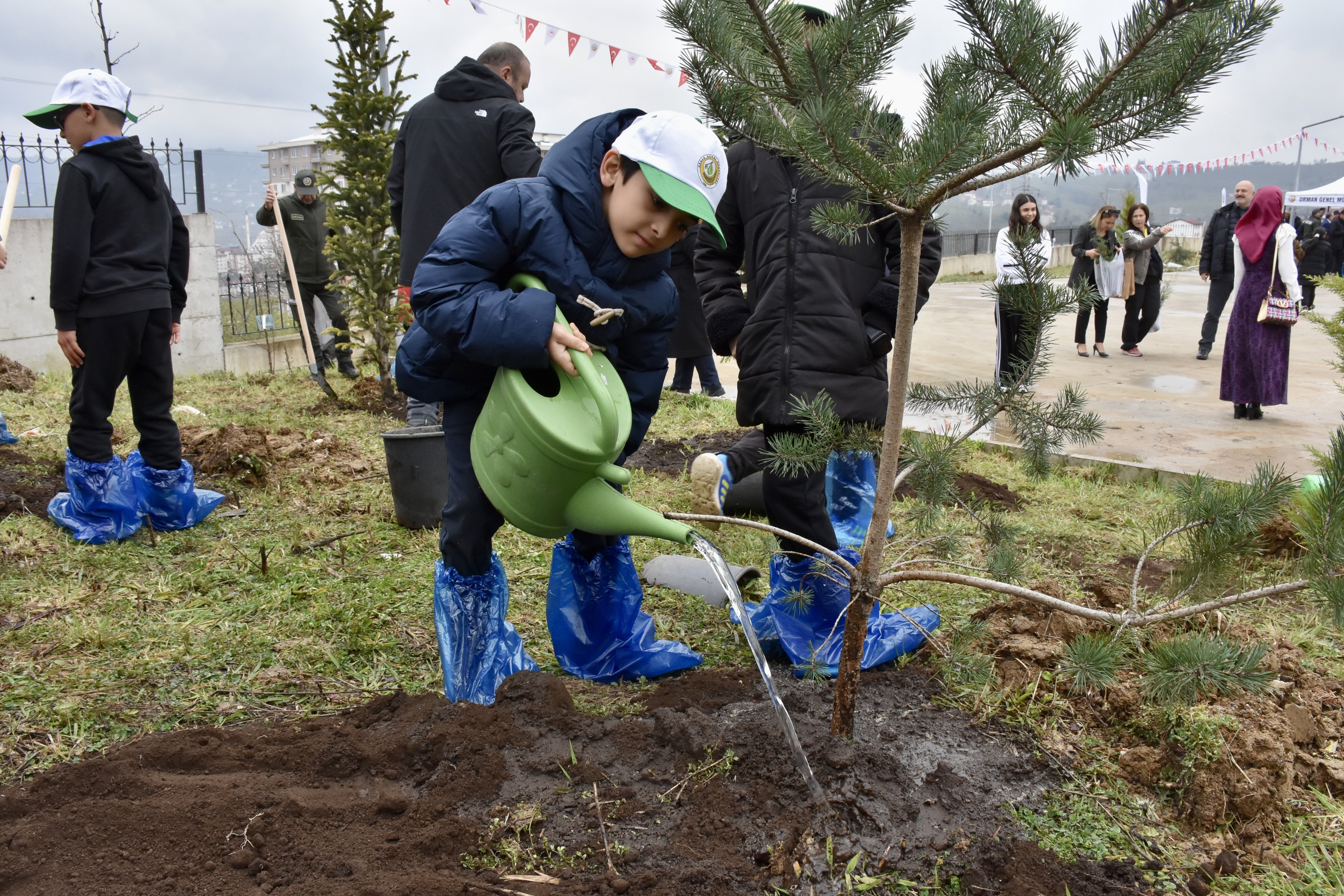 Ordu'da Orman Haftası'nda 1500 fidan dikildi