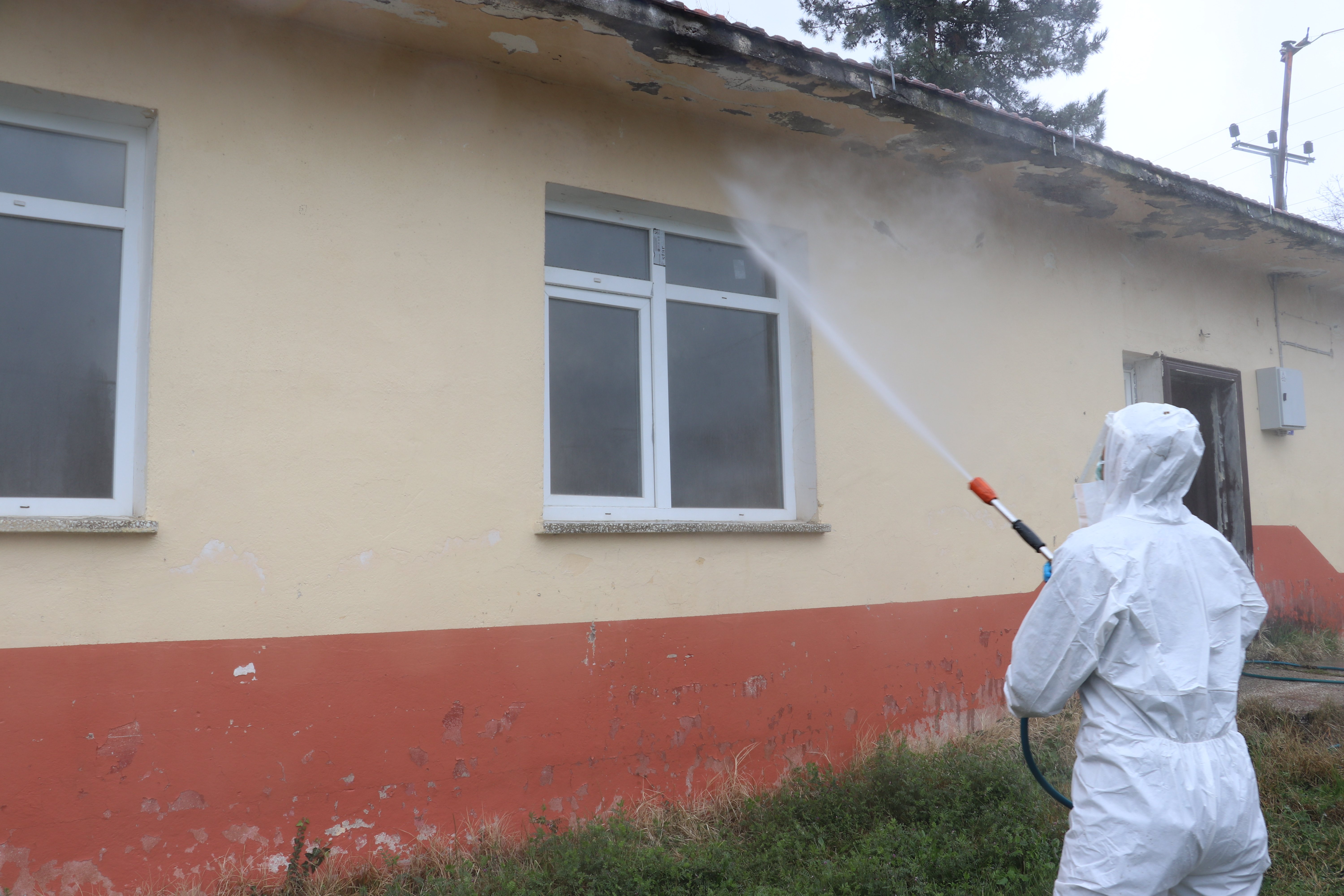 Samsun'da 'kahverengi kokarca' ile mücadele ediliyor