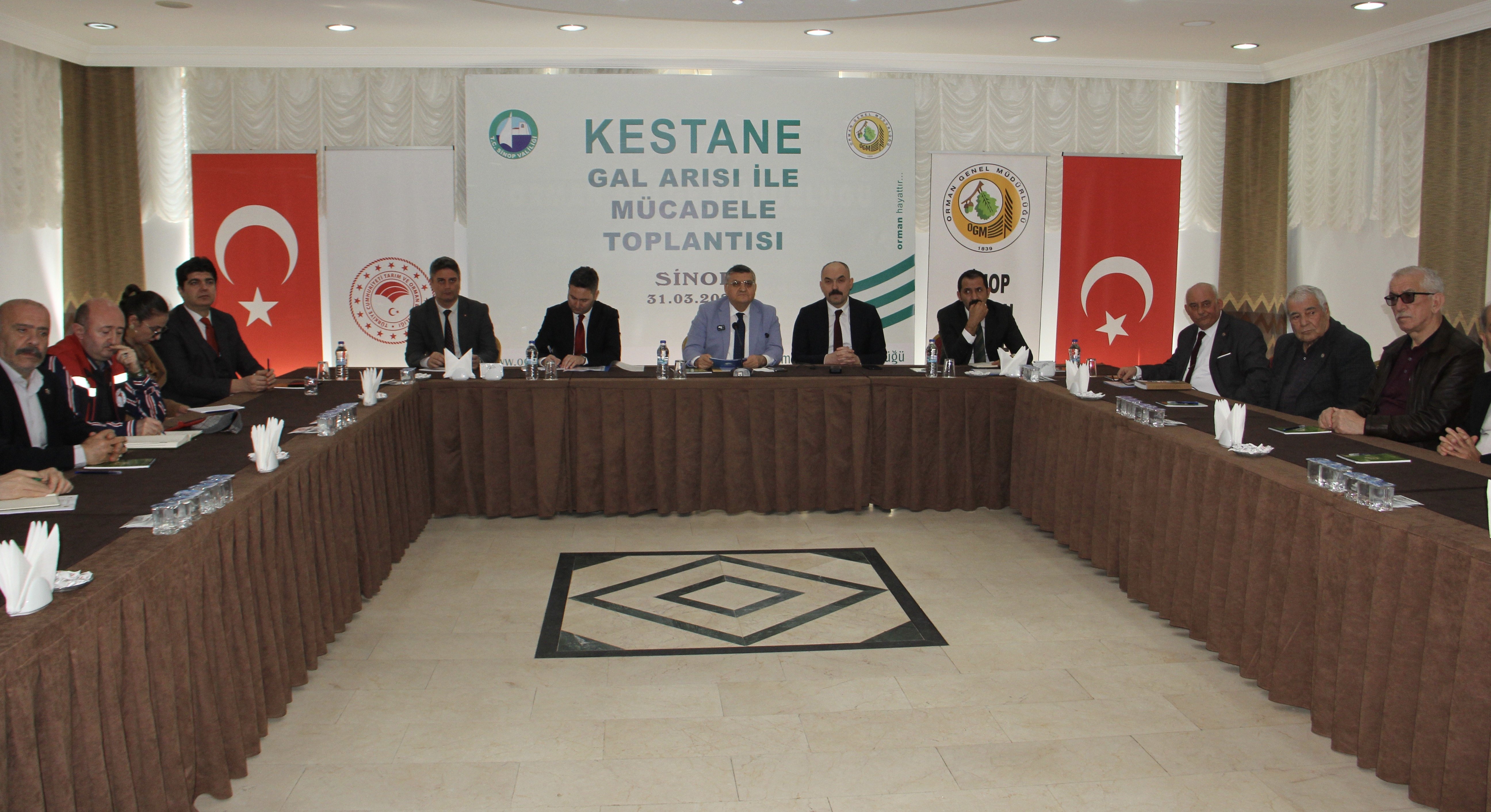 Sinop'ta kestane ağaçlarını korumak için 10 bin avcı böcek görev yapacak