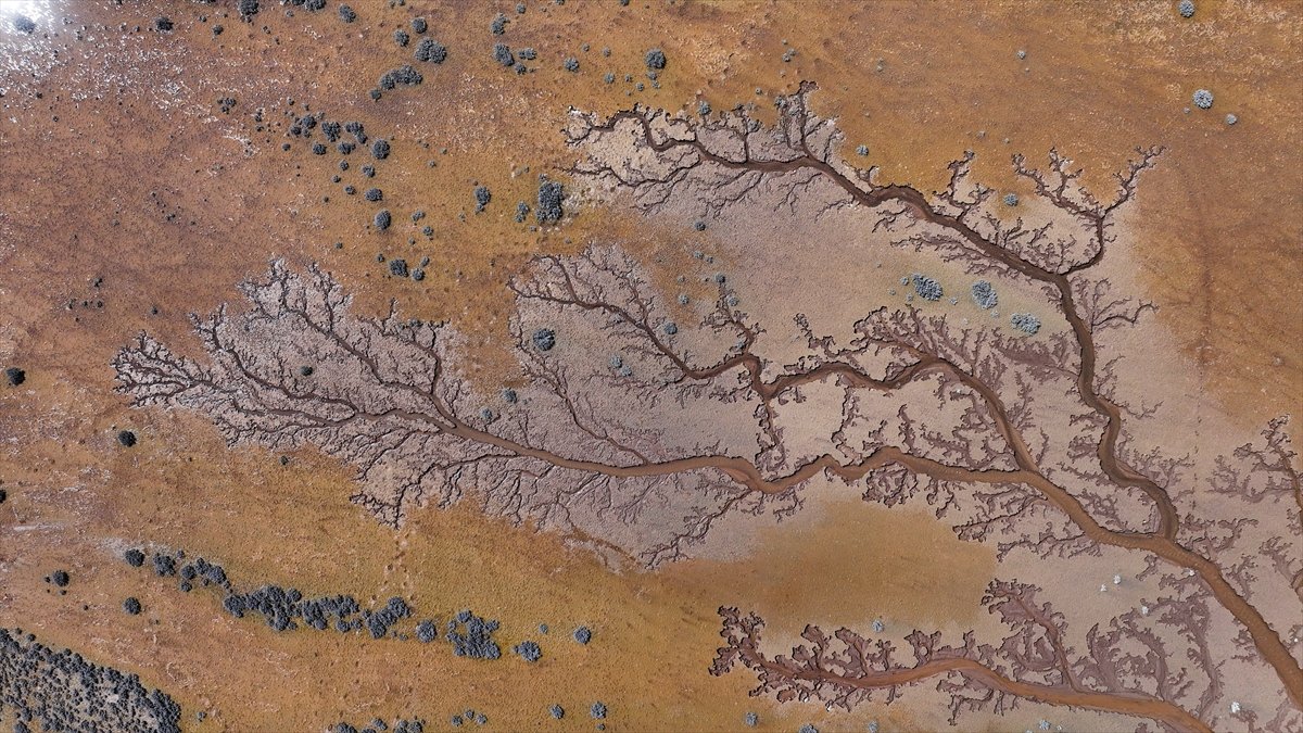 Tuzla Palas Gölü'nü besleyen suların oluşturduğu izler ağaç dallarını andırıyor