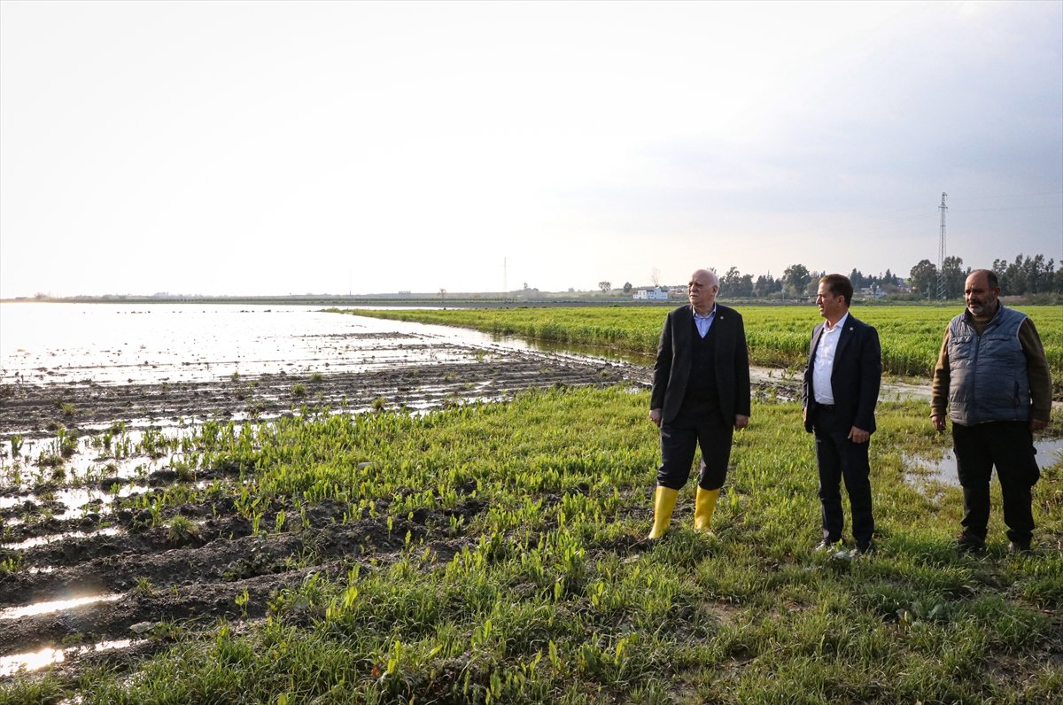 TZOB Genel Başkanı Bayraktar, Adana'da sağanaktan etkilenen bölgelerde incelemelerde bulundu