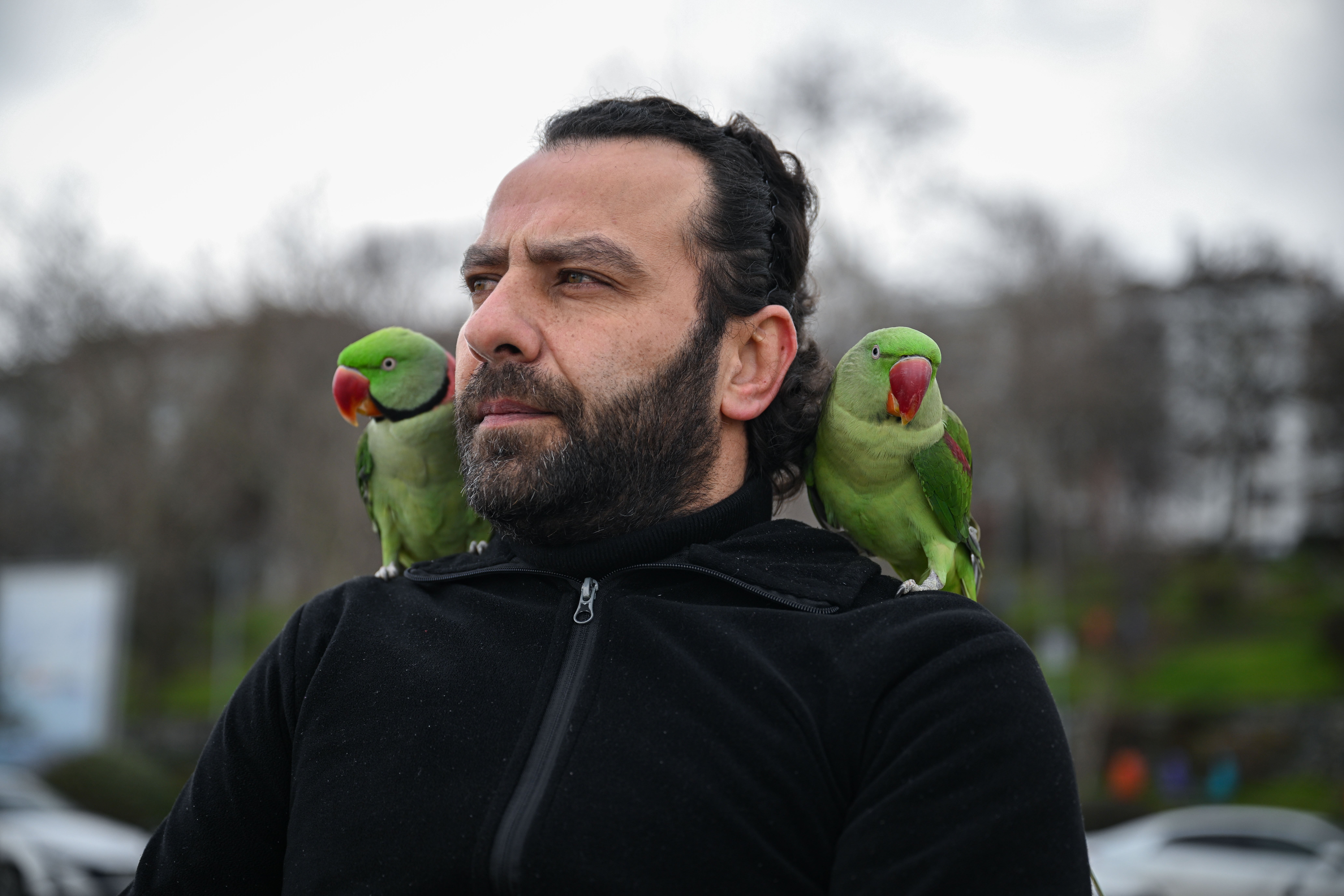 Yavruyken sahiplendiği papağanlarına gözü gibi bakıp yanından ayırmıyor