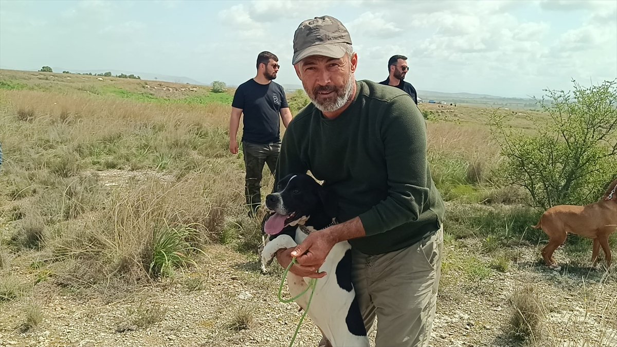 Adana'da 'Avcı Köpeği ve Irk Standartları Yarışması' yapıldı