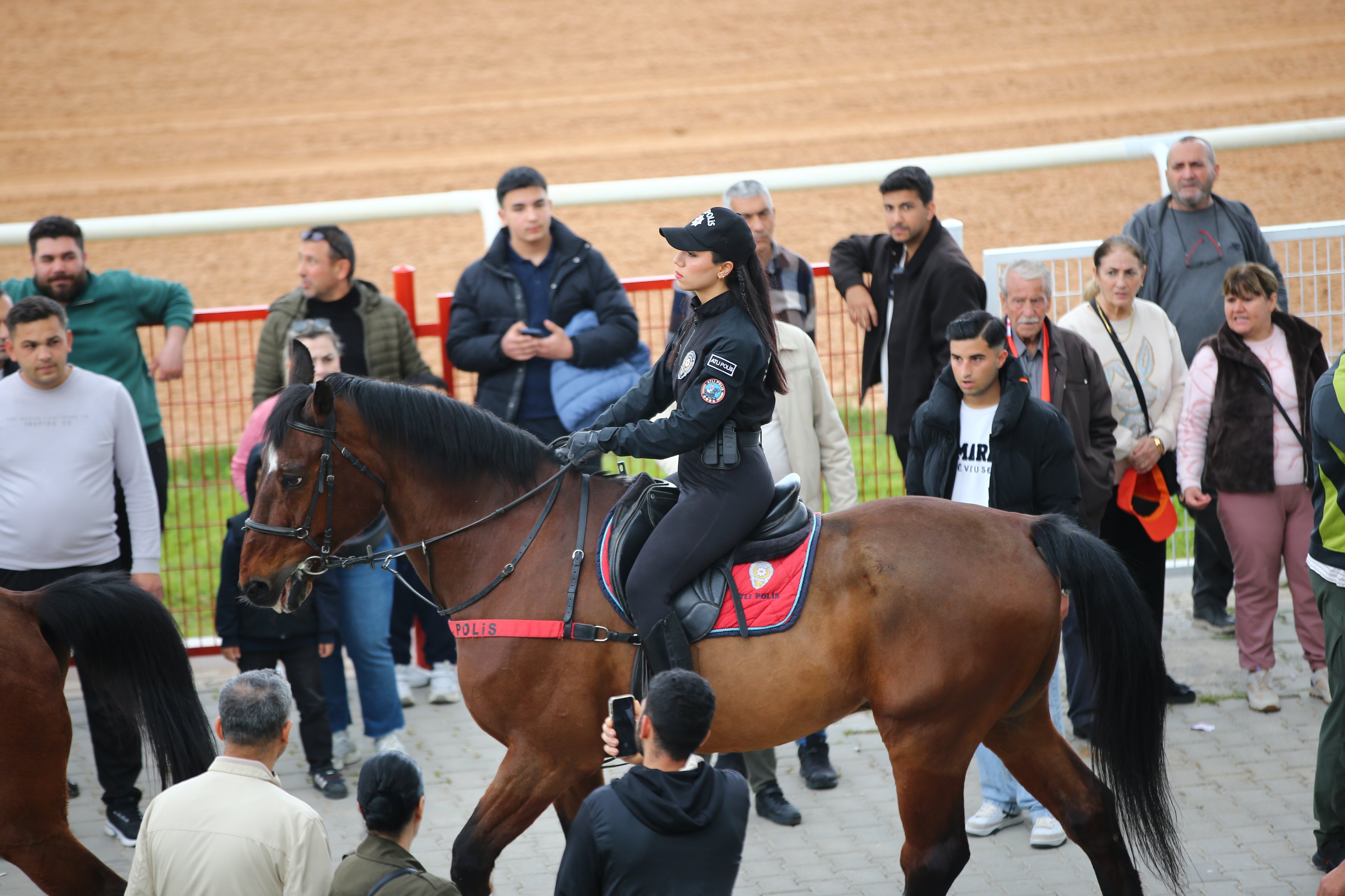 Adana'da Portakal Çiçeği Koşusu'nu 'Mountain' isimli safkan kazandı