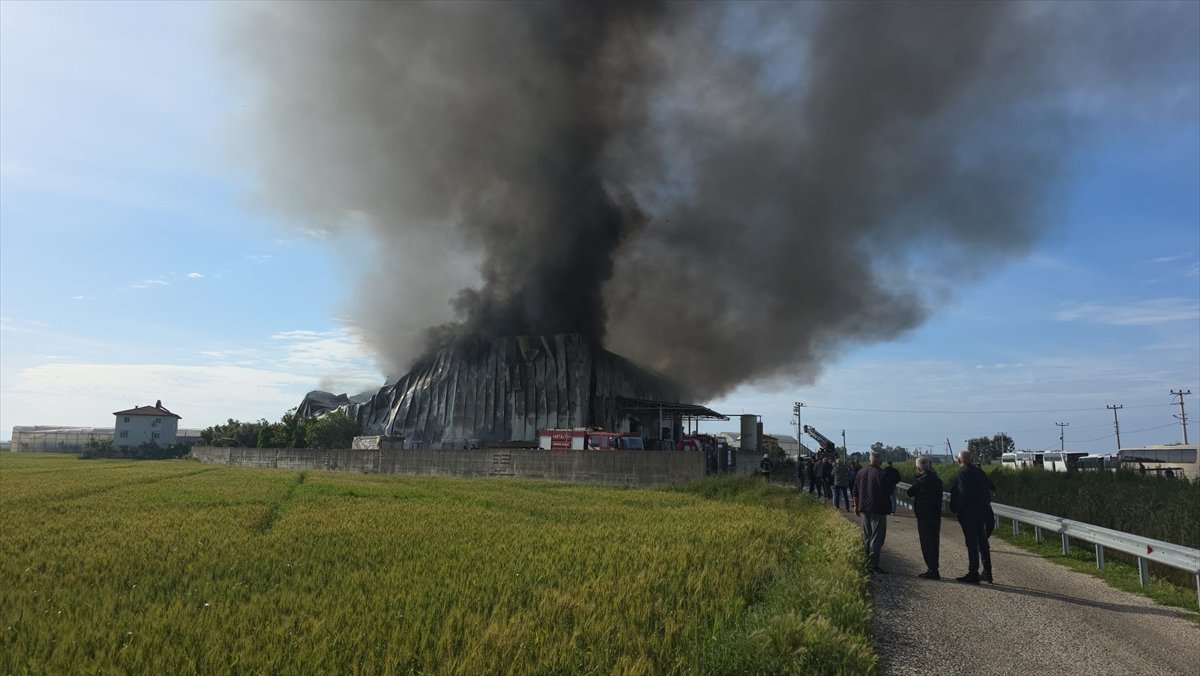 Antalya'da patates cipsi üretim tesisinde çıkan yangın söndürüldü