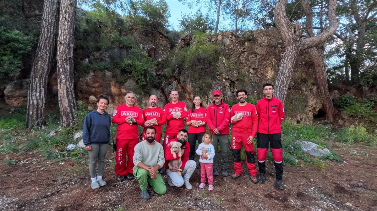Antalya'da yarığa düşen köpek ve 6 yavrusu kurtarıldı
