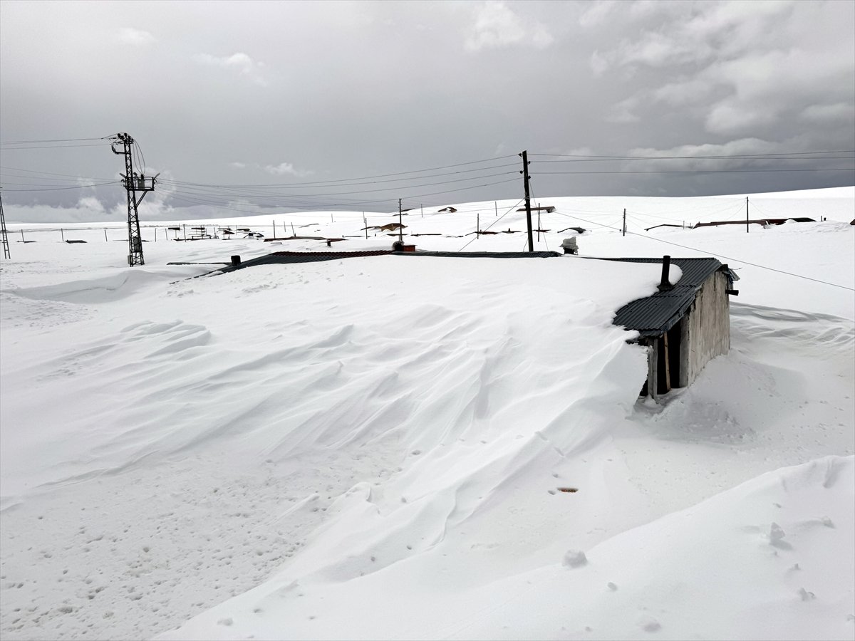 Ardahan'da yayla evleri baharda kar altında kaldı