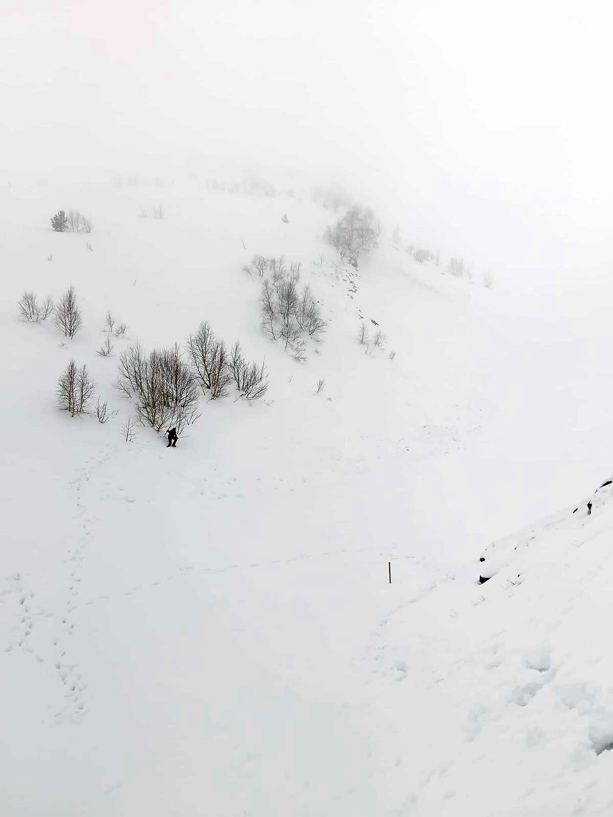 Artvin'de çığ bölgesinde gözlemsel etüt ve kar rasatı çalışması yapıldı