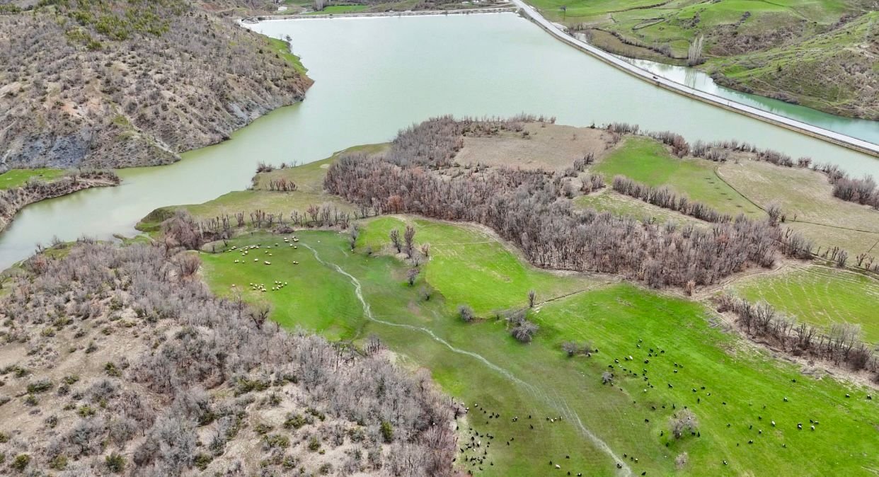 Bitlis'te yağışlar göletlerdeki su seviyesini yükseltti