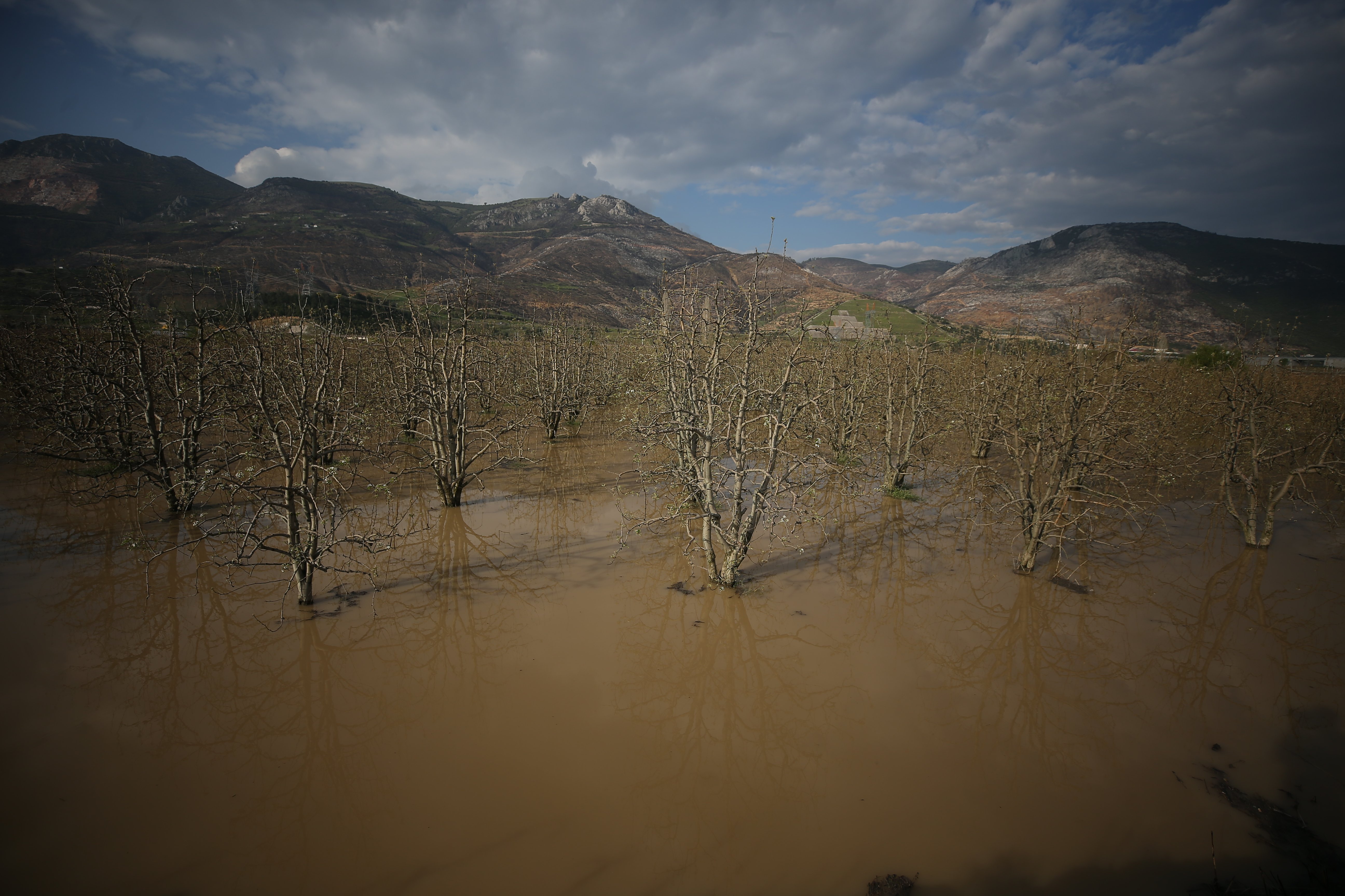 Bursa'da 3 gün süren sağanak Gürsu Ovası'nı su altında bıraktı
