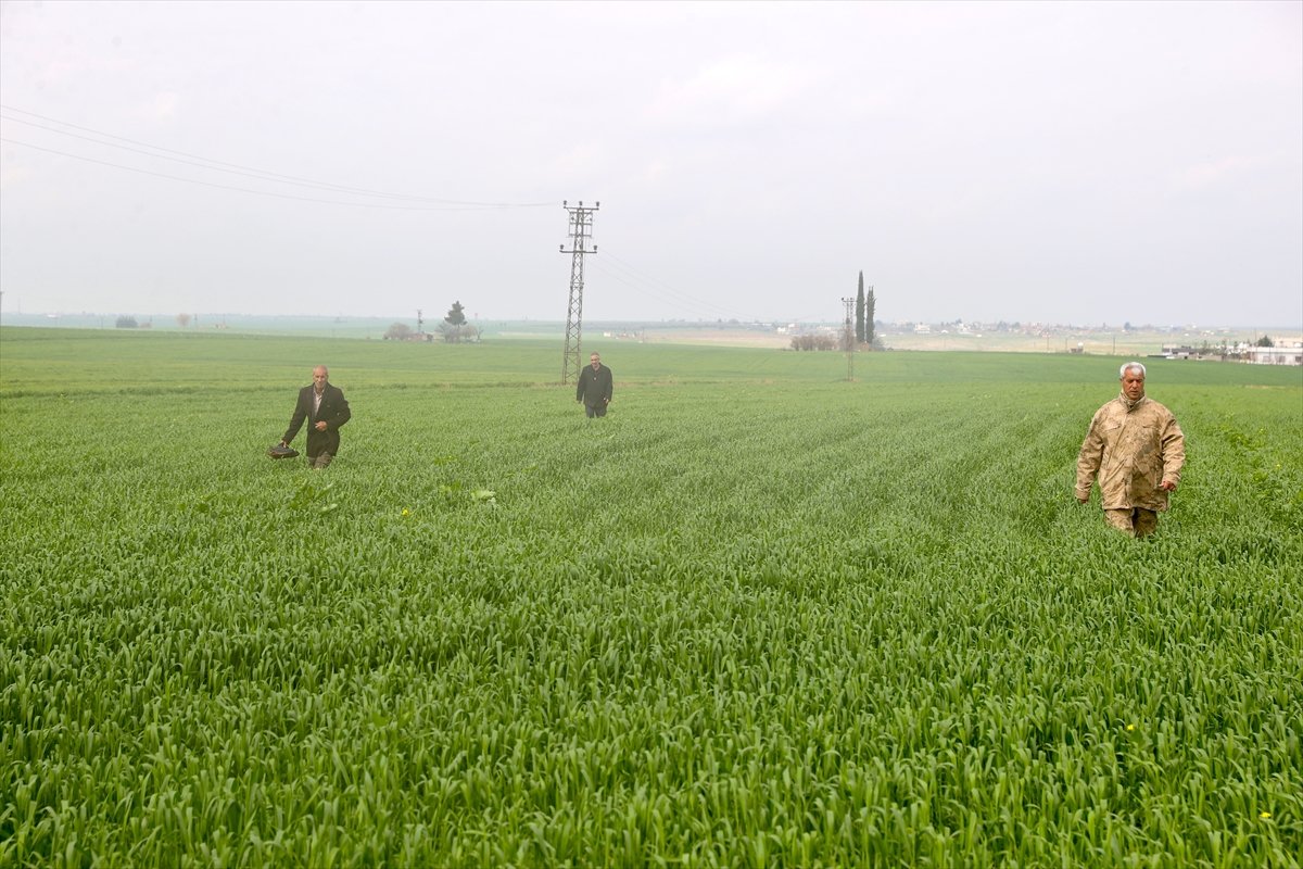 GÜNCELLEME - Mardin'de kaybolan 80 yaşındaki kadın arazide ölü bulundu
