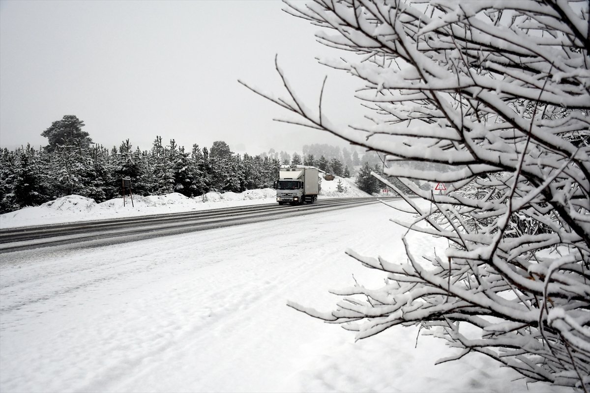 Kars ve Ardahan'da ilkbaharda kar etkili oldu
