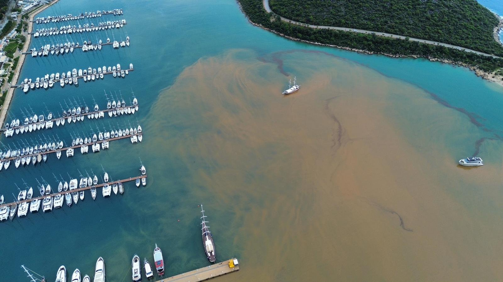 Kaş'ta sağanak sonrası denizin bir kısmı kahverengiye döndü
