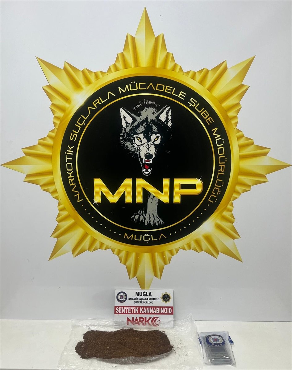 Muğla'da uyuşturucu operasyonunda yakalanan zanlı tutuklandı