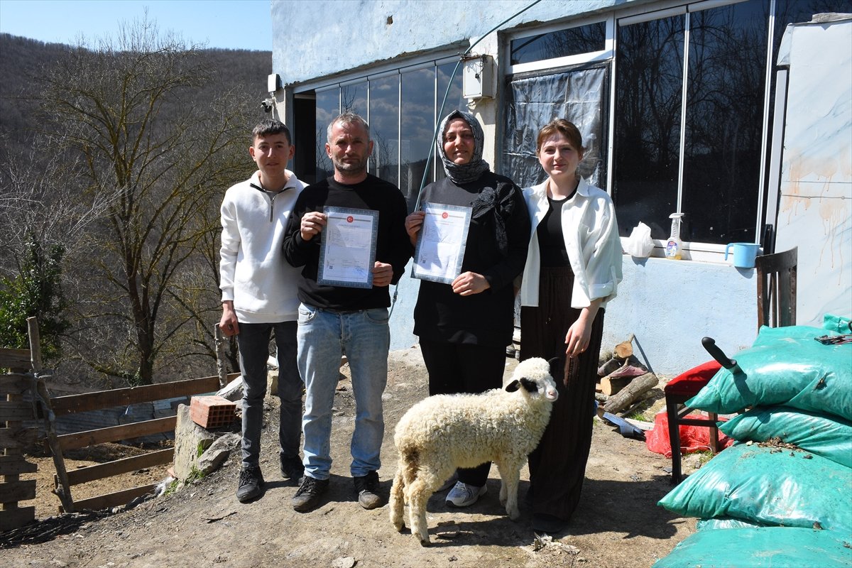 Samsun'da 46 yıllık arazi paylaşımı sorunu arabulucuyla 28 günde çözüldü