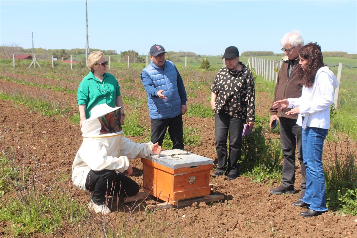 Samsun'da UNDP desteğiyle kadın çiftçilere ilaçsız tarım eğitimi verildi