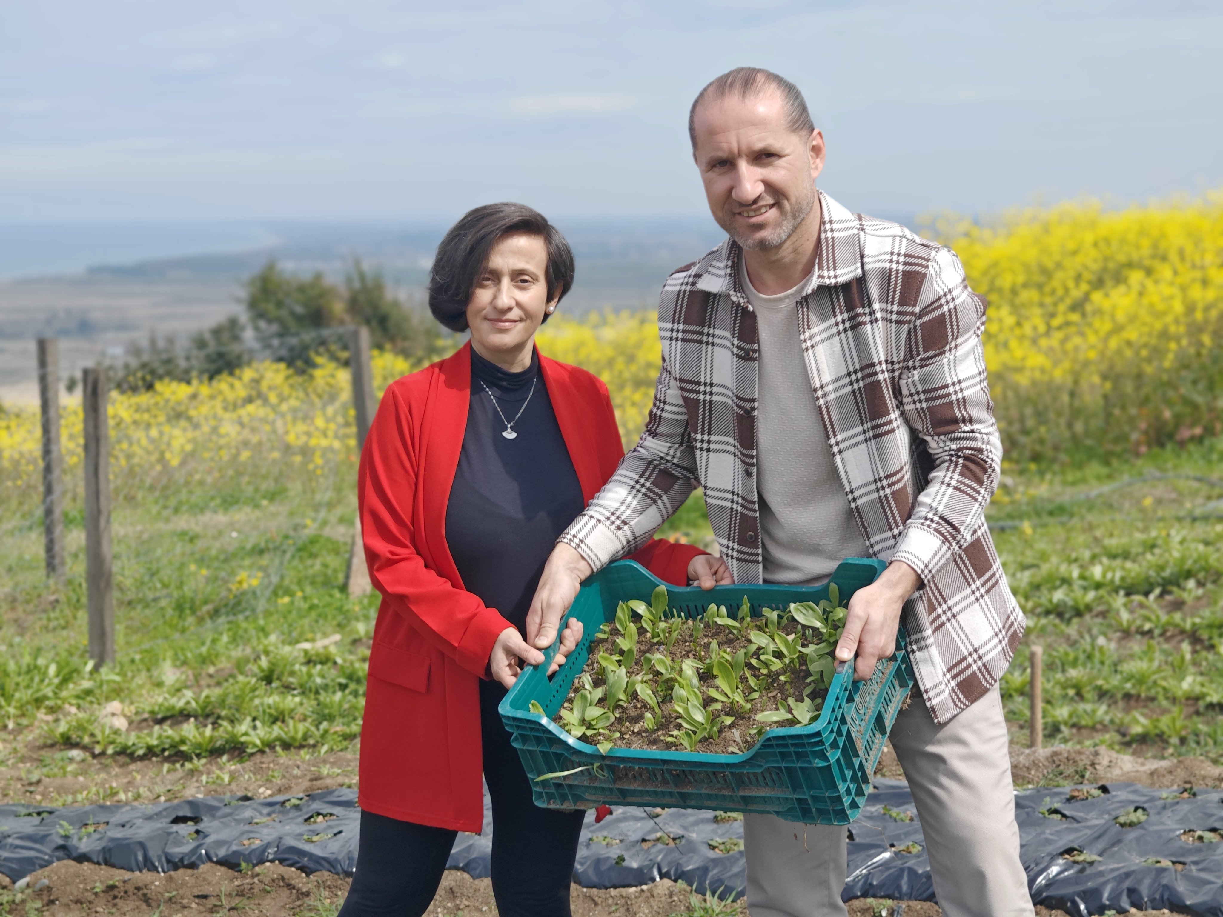 Samsunlu girişimci çift, üretimine başladıkları ak zambak soğanlarını ihraç etmek istiyor