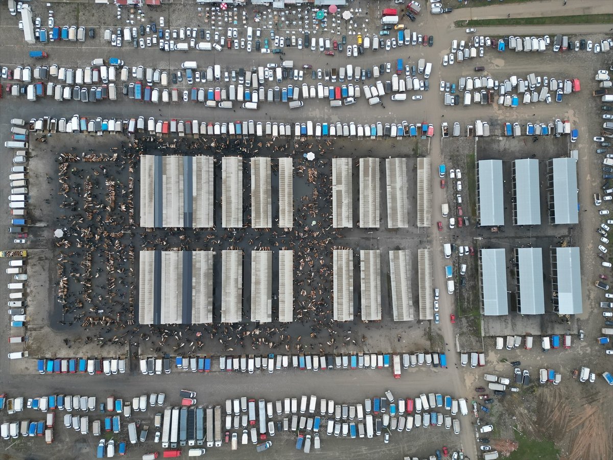 Sivas'taki canlı hayvan pazarında yoğunluk yaşanıyor