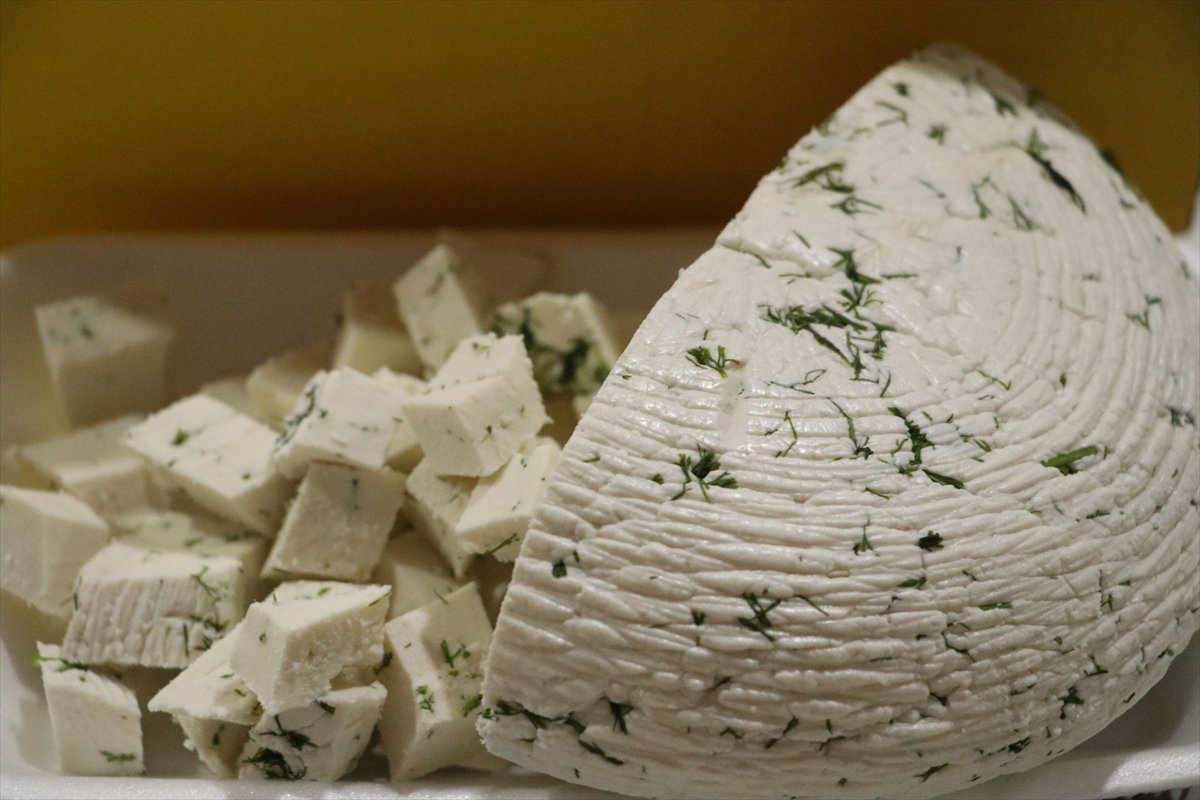 Tekirdağ'da 'Keçi Peyniri Tadım Yarışması' düzenlendi