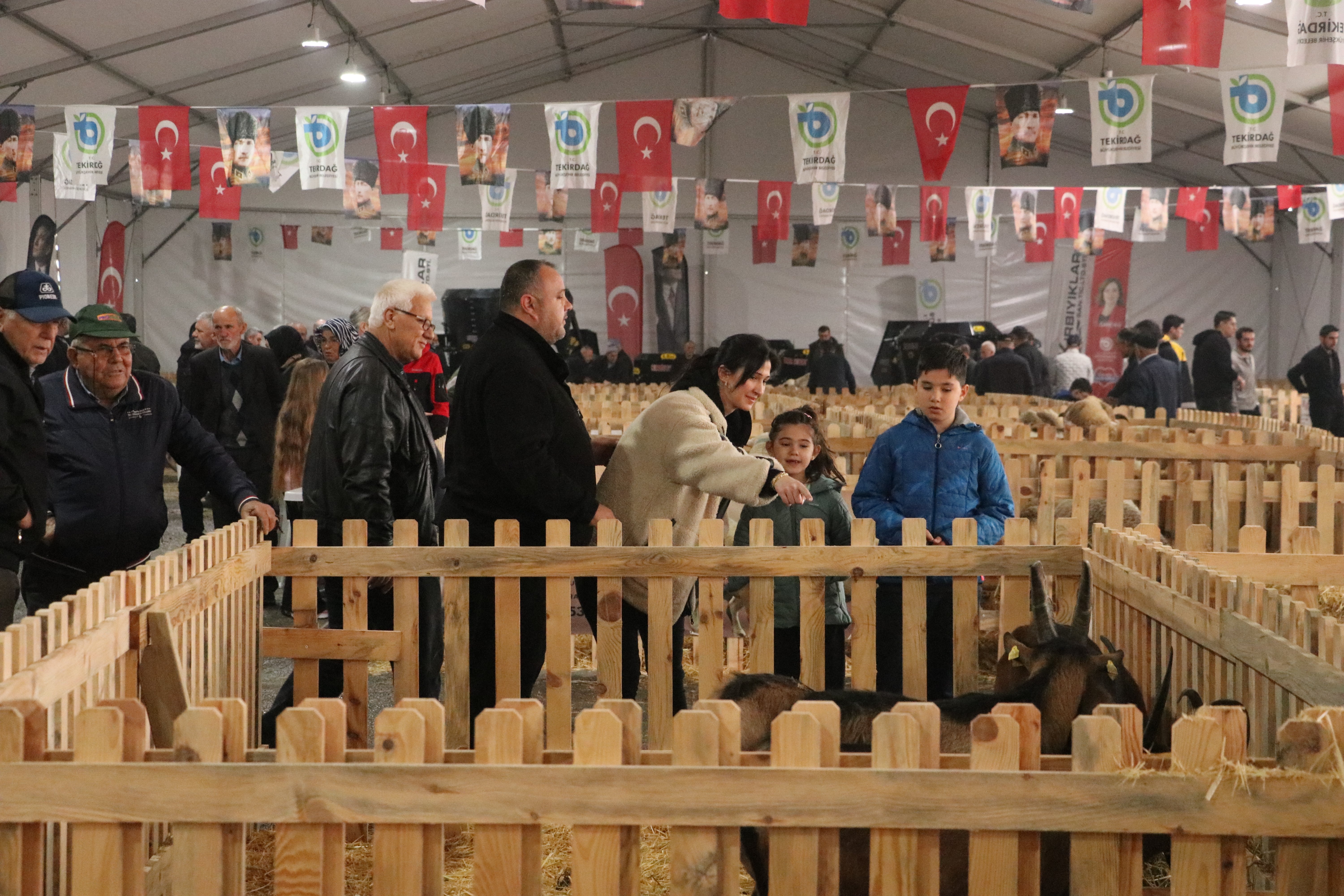 Tekirdağ'da 'Küçükbaş Hayvancılık Festivali' yoğun katılımla devam ediyor