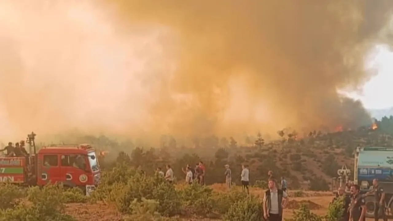 Orman yangınlarında 168 şüpheliden 39'u tutuklandı