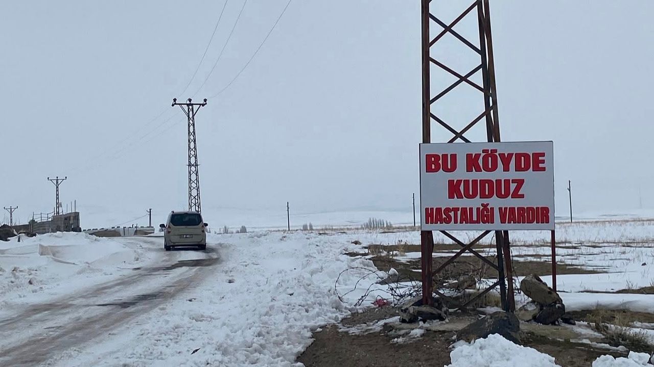 Bitlis'te bir köy kuduz nedeniyle karantinaya alındı
