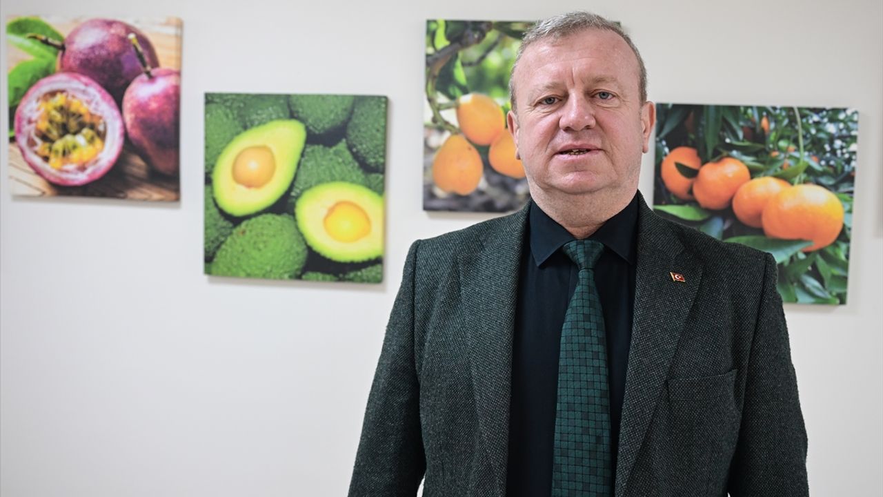 Tescillenen 8 tropikal meyve çeşidi Milli Çeşit Listesi'ne girdi