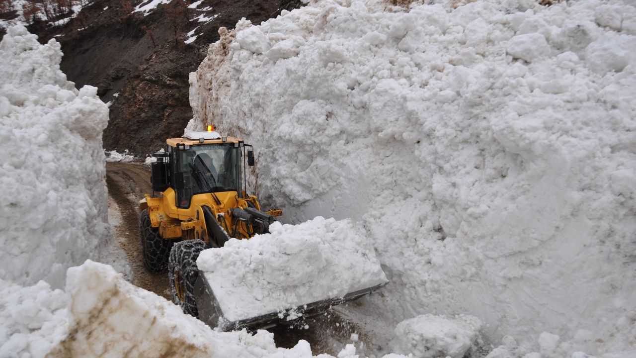 Bitlis'te çığın düştüğü köy yolunda çalışma başlatıldı
