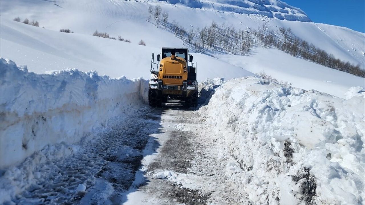 Van, Muş, Hakkari ve Bitlis'te 65 yerleşim yerine ulaşım sağlanamıyor