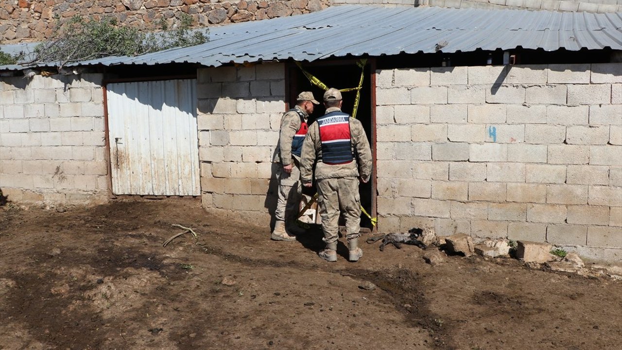 Kilis'te ağılın çökmesi sonucu 40 küçükbaş telef oldu