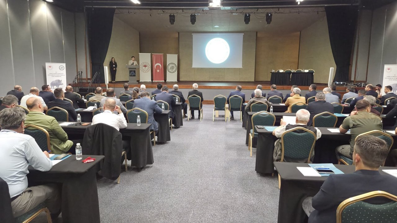 Marmaris'te yaban domuzu kaynaklı riskler ve çözüm yolları çalıştayda ele alındı