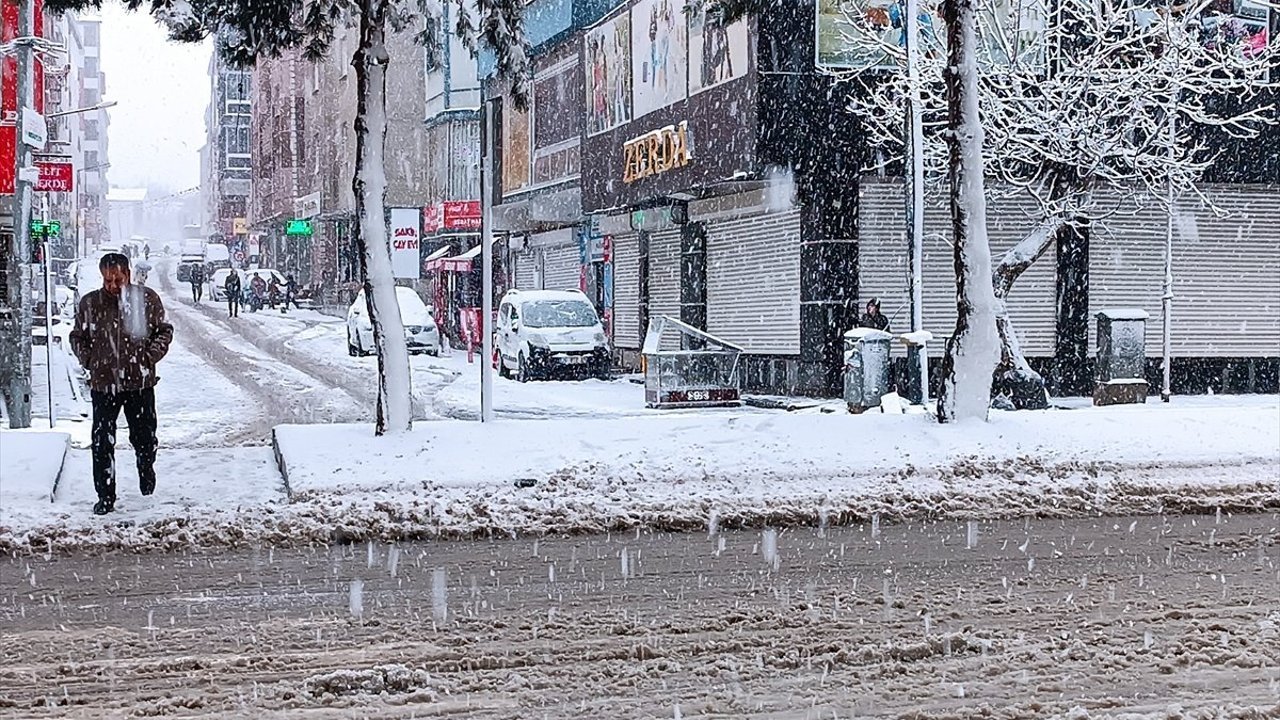 Van ve Bitlis'te kar etkili oldu